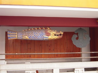 DSCN1534.jpg